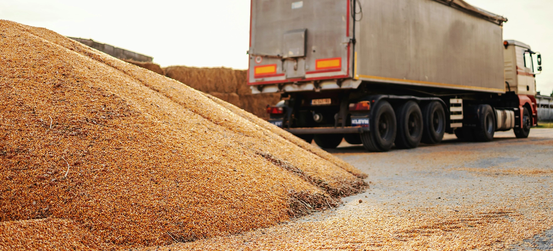 Bulk Cargo Handling Automation