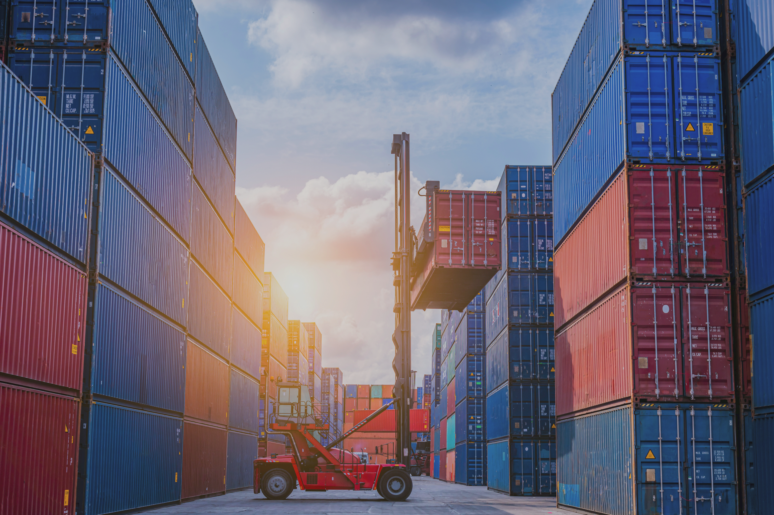 Solvo.WMS: for CFS & Terminal Warehouses